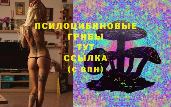 гашик Кукмор