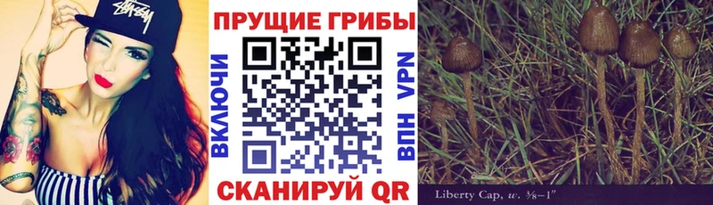 Псилоцибиновые грибы Psilocybine cubensis  где купить наркоту  Луга 